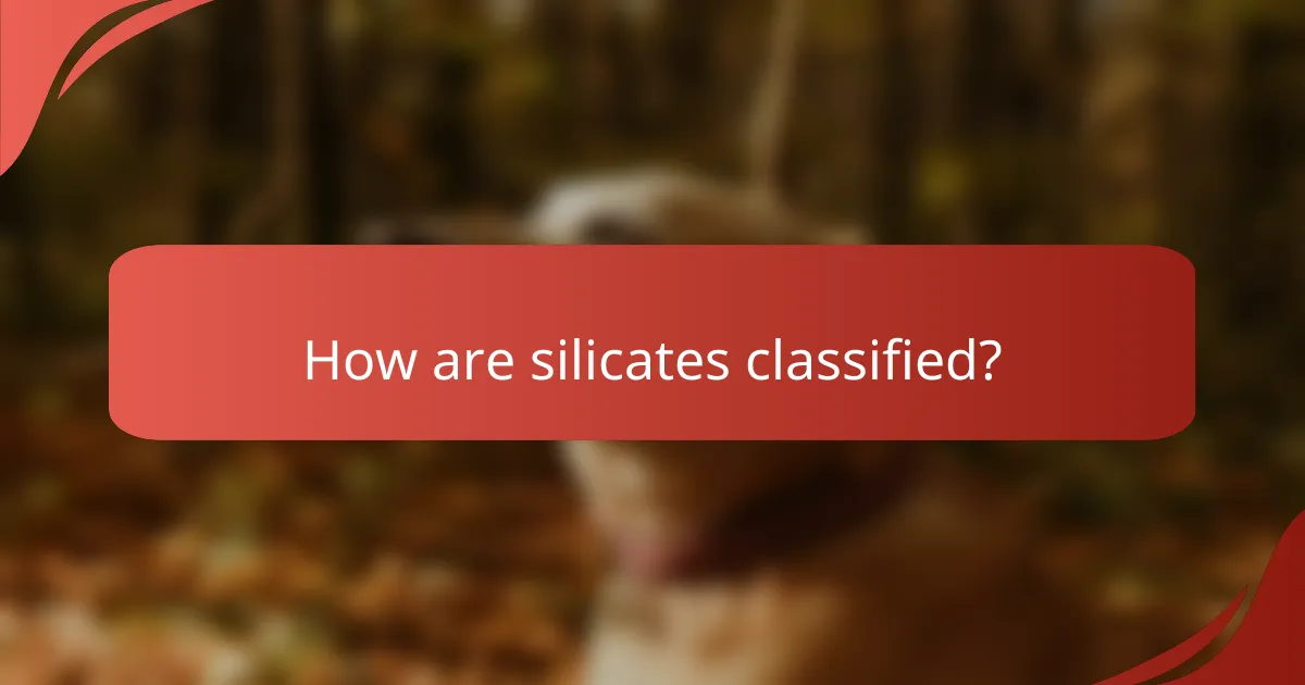 How are silicates classified?