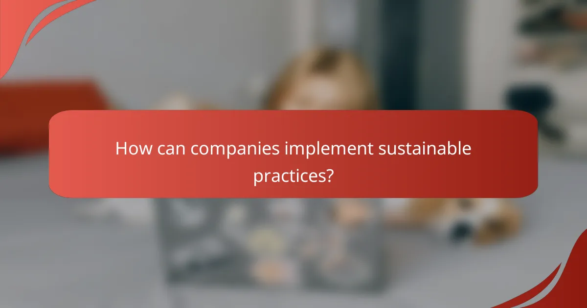 How can companies implement sustainable practices?