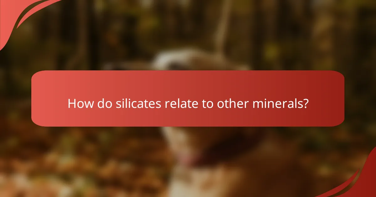 How do silicates relate to other minerals?