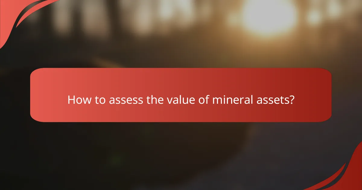 How to assess the value of mineral assets?