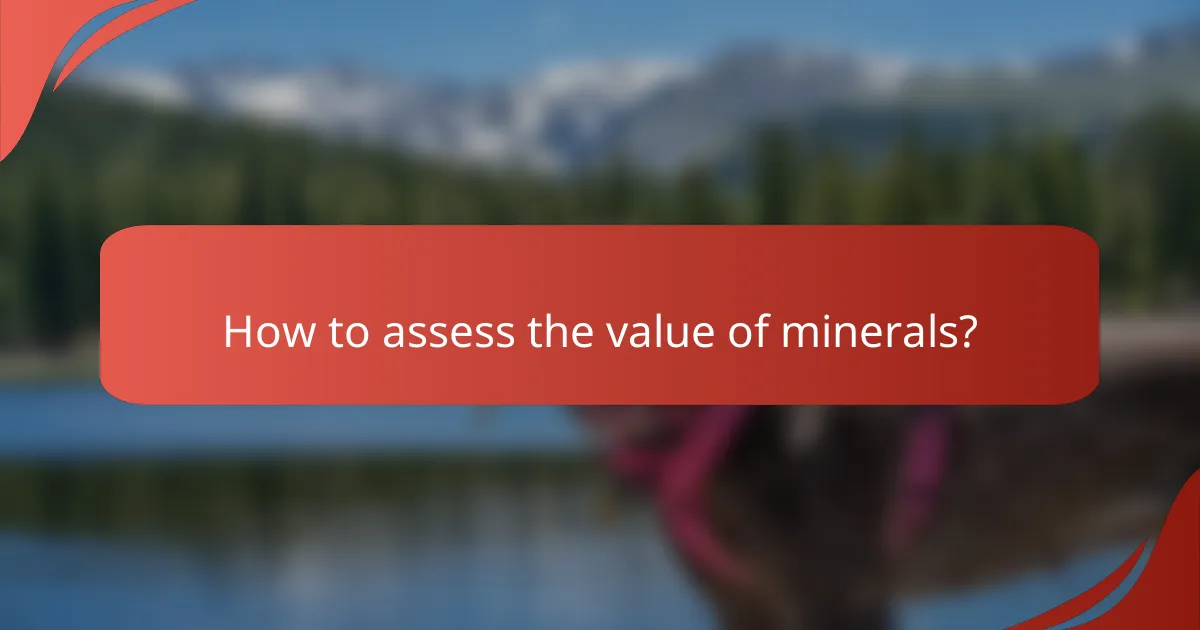 How to assess the value of minerals?
