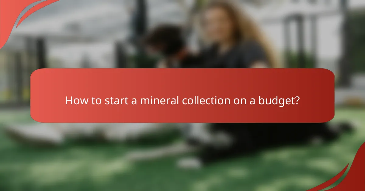 How to start a mineral collection on a budget?