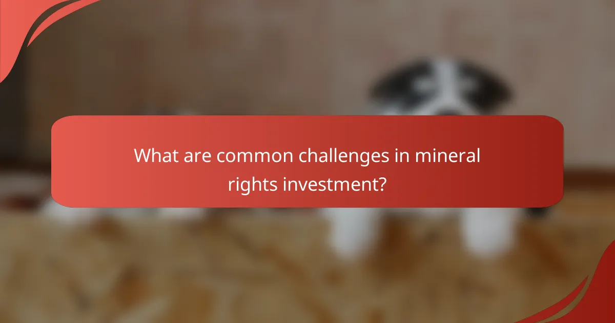 What are common challenges in mineral rights investment?