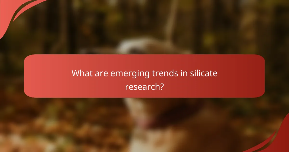 What are emerging trends in silicate research?