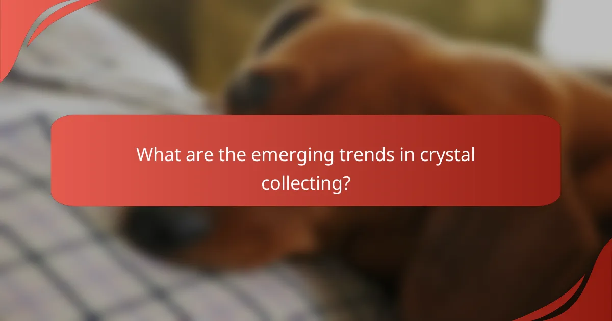 What are the emerging trends in crystal collecting?