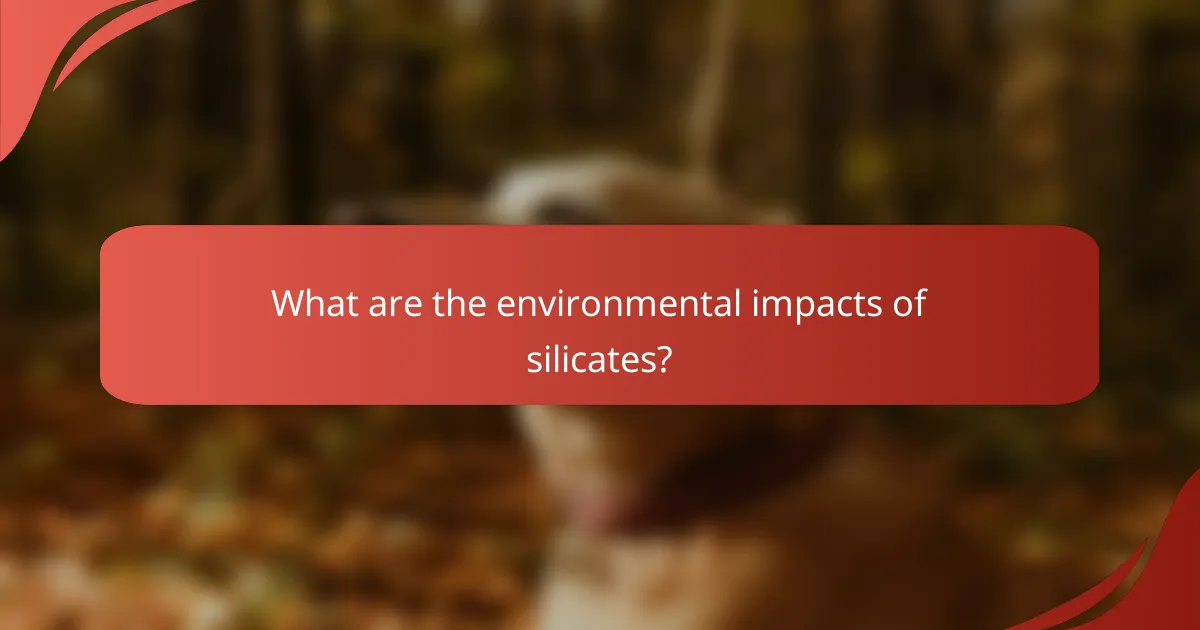 What are the environmental impacts of silicates?