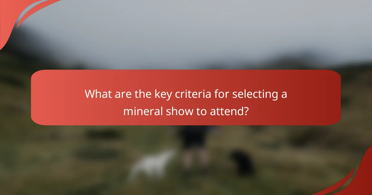What are the key criteria for selecting a mineral show to attend?