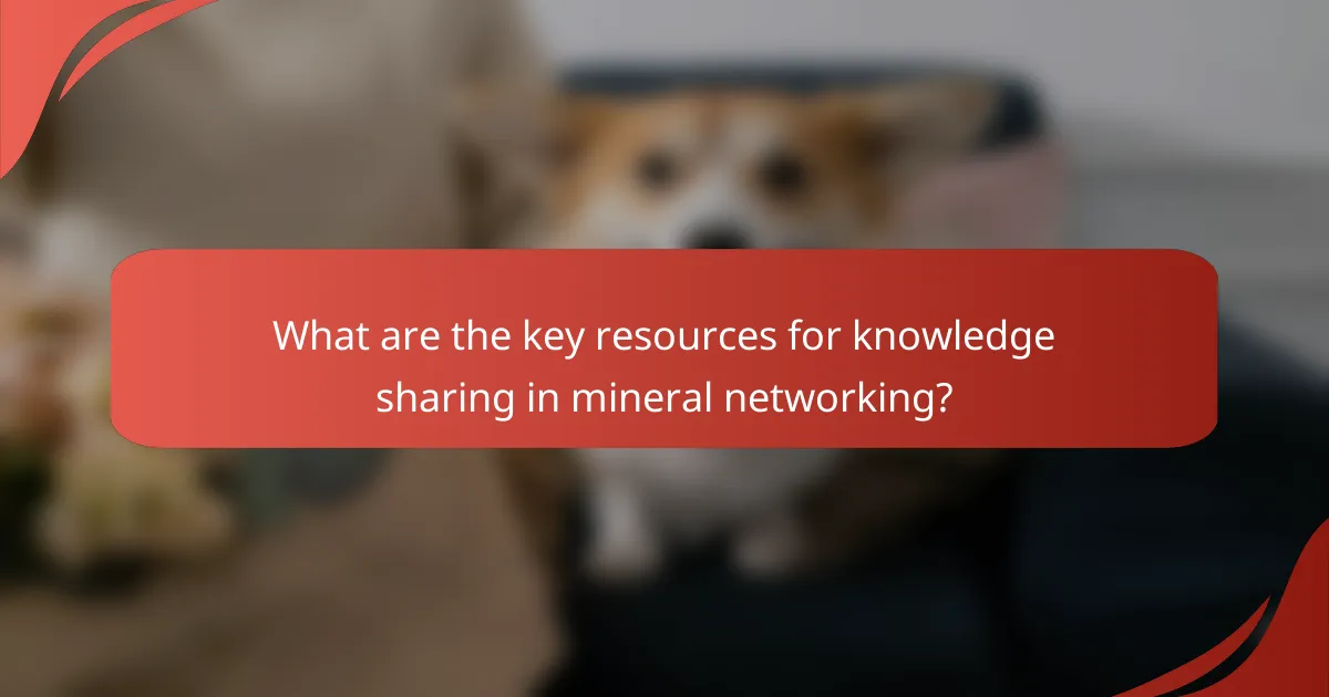 What are the key resources for knowledge sharing in mineral networking?