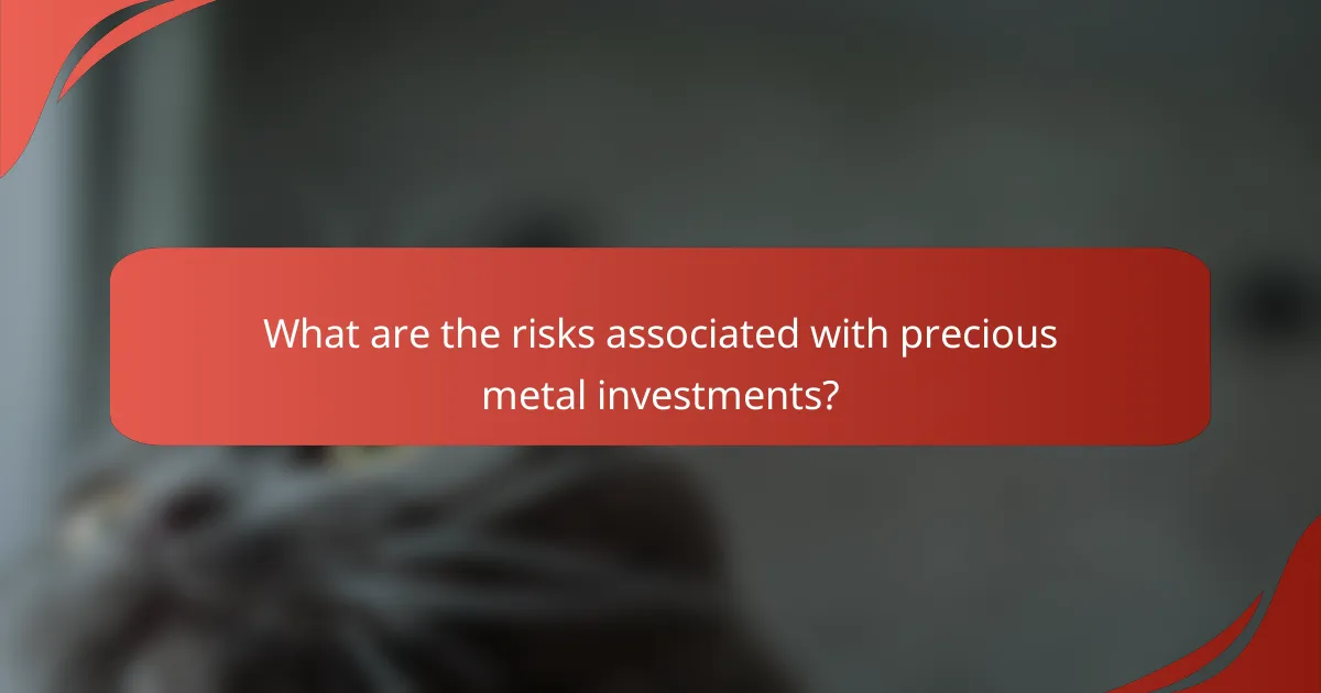 What are the risks associated with precious metal investments?