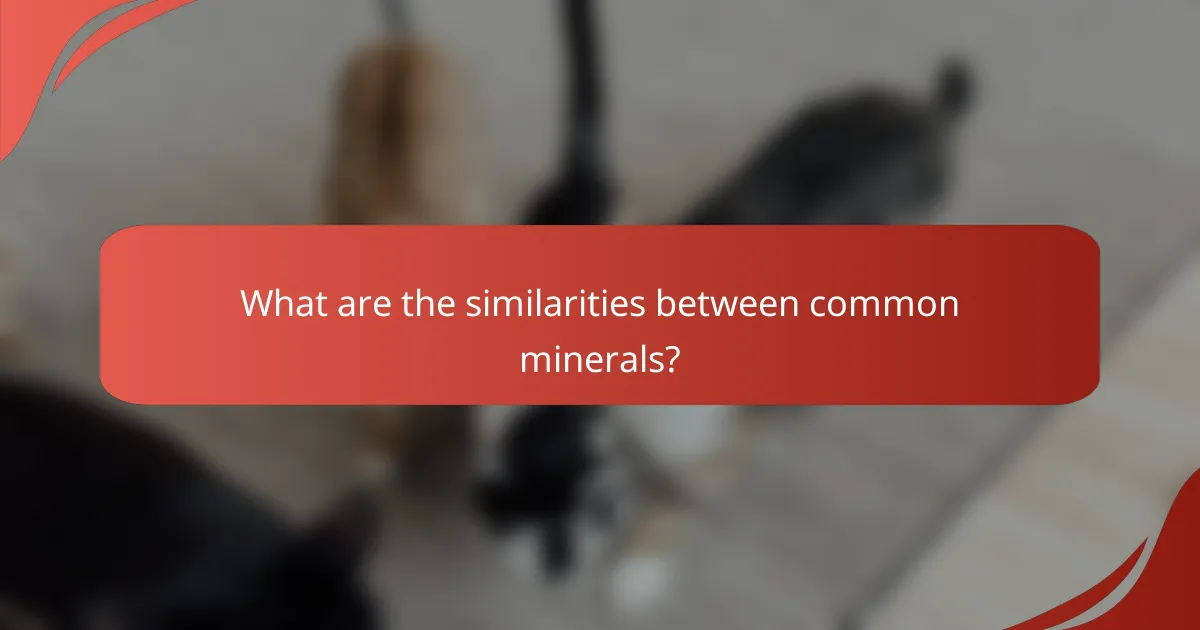 What are the similarities between common minerals?