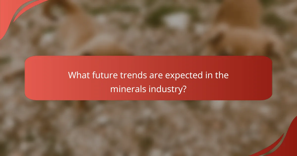 What future trends are expected in the minerals industry?