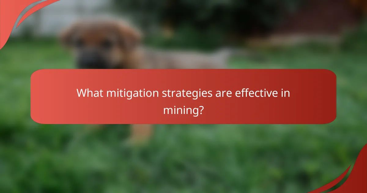 What mitigation strategies are effective in mining?