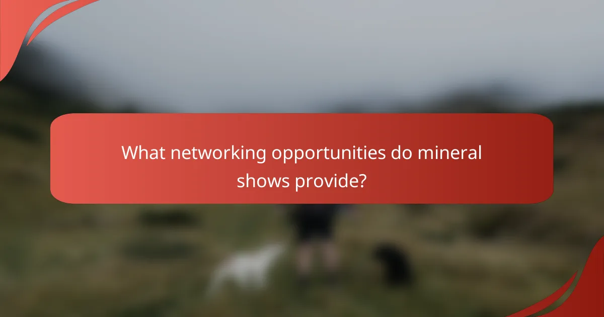 What networking opportunities do mineral shows provide?